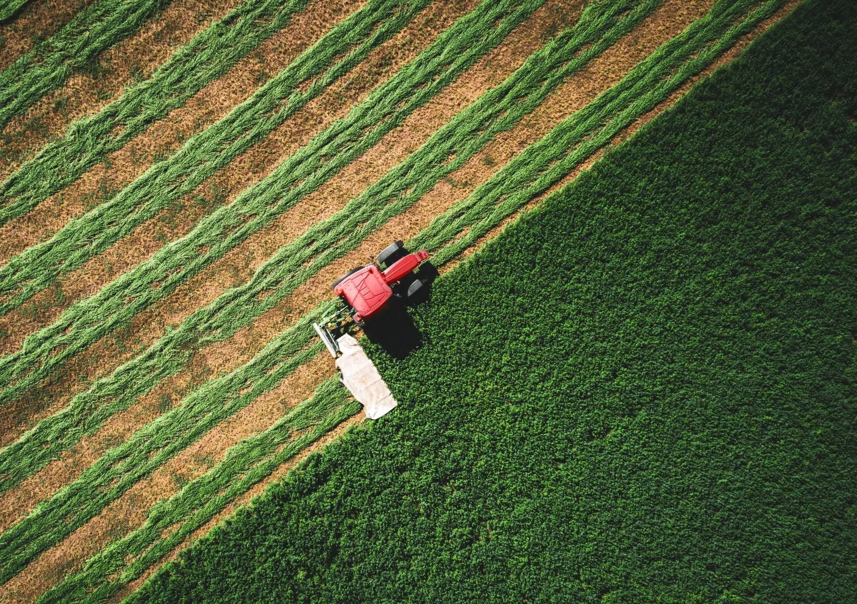 Impact Investing: How Is Tech Making Food Systems More Sustainable?