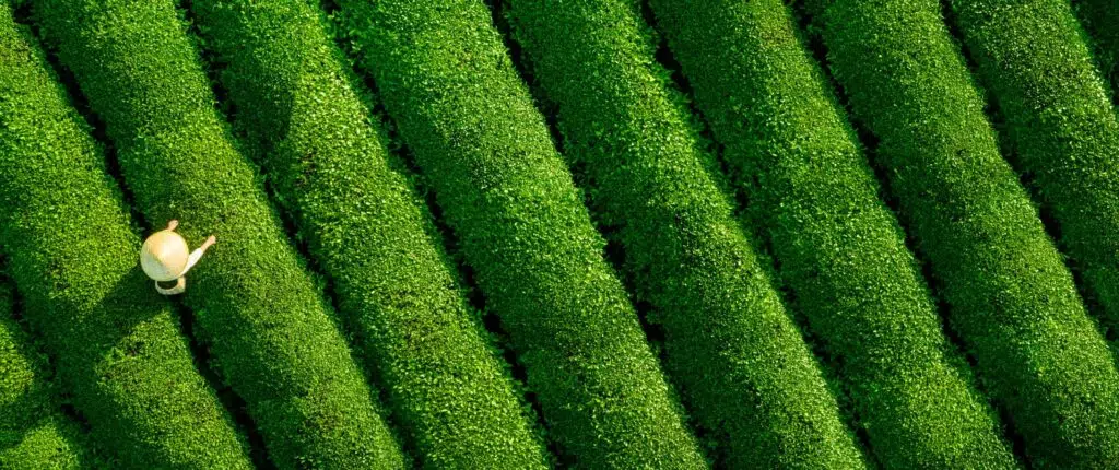 Cambridge Associates Goes Carbon Neutral in Business Operations Featured Image