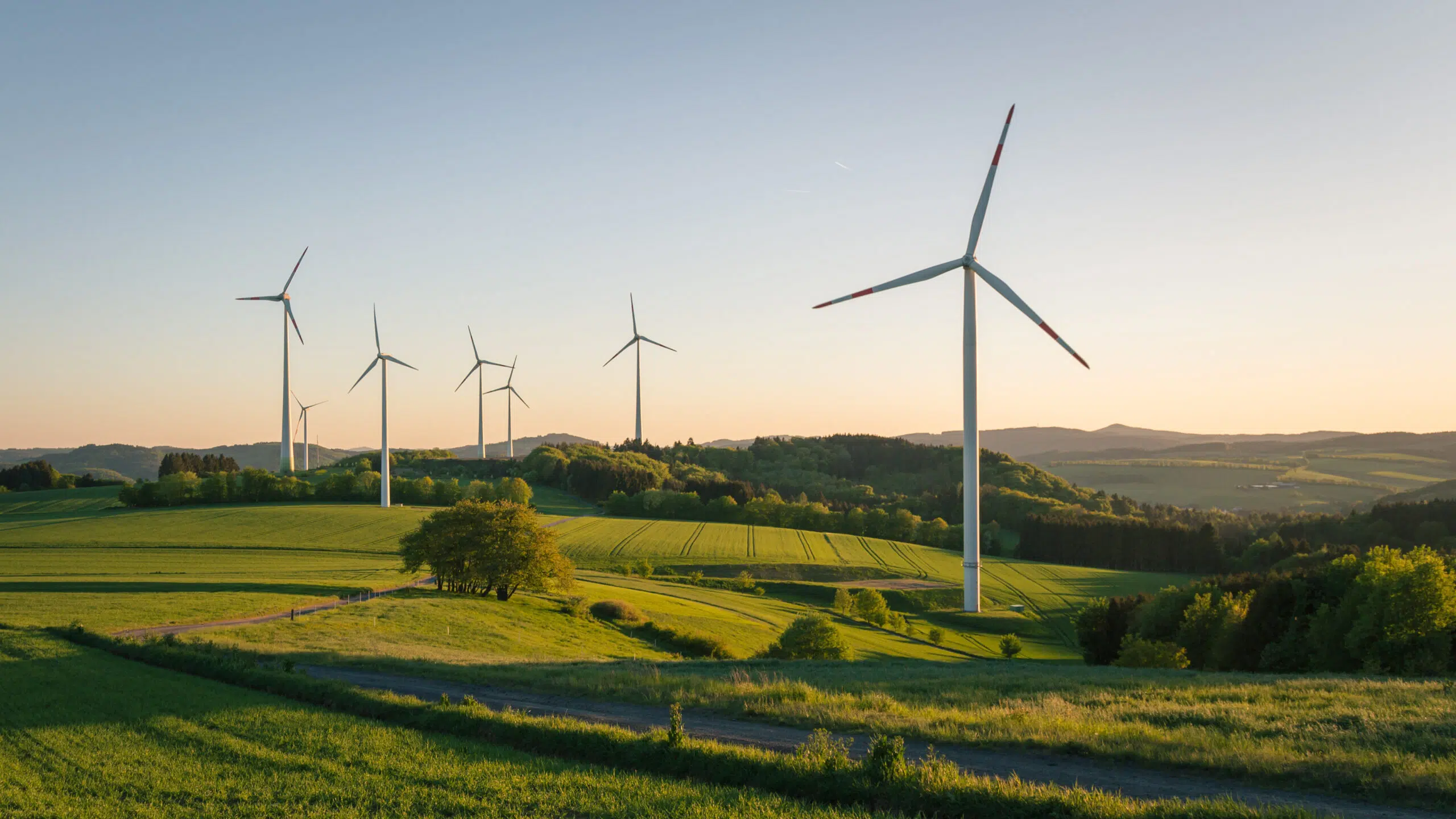 Sustainability in Capital Markets: Financing The Transition To A Sustainable Low-carbon Economy