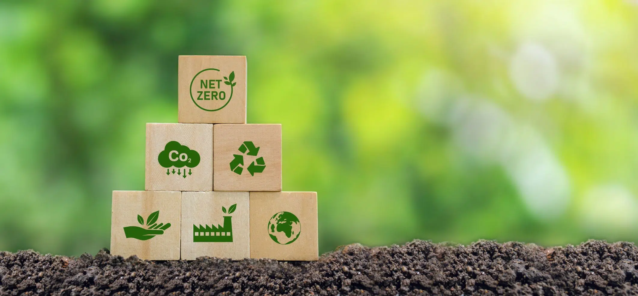 From Policy to Implementation: A Net Zero Playbook for Investors