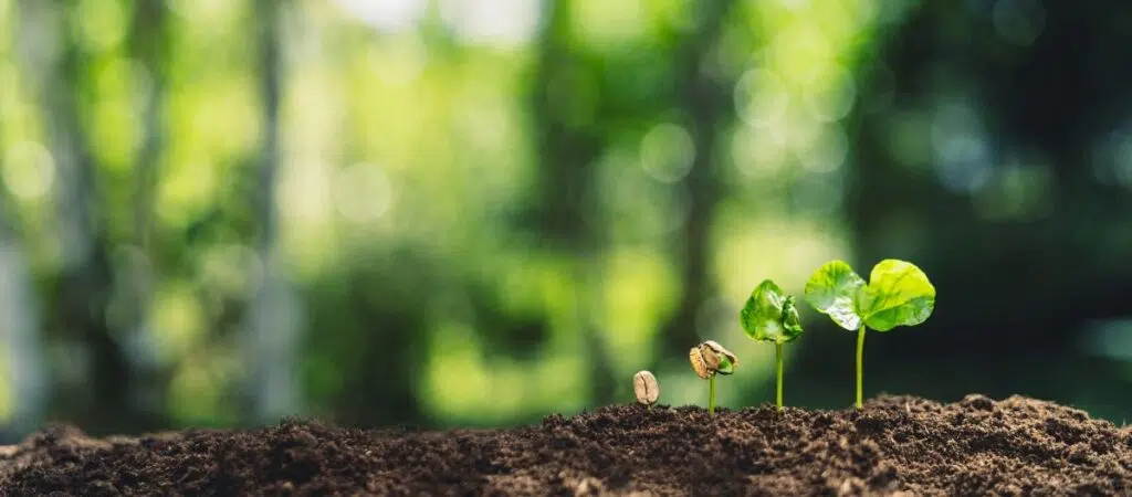  Are Secondaries Experiencing a Growth Spurt? Featured Image