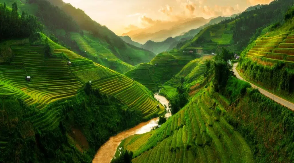  Asia Insights: Managing Risk Through Diversification Featured Image