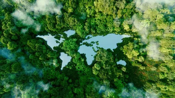 Net Zero Investor: Why UK Endowments are Turning to Private Markets for Climate Solutions
