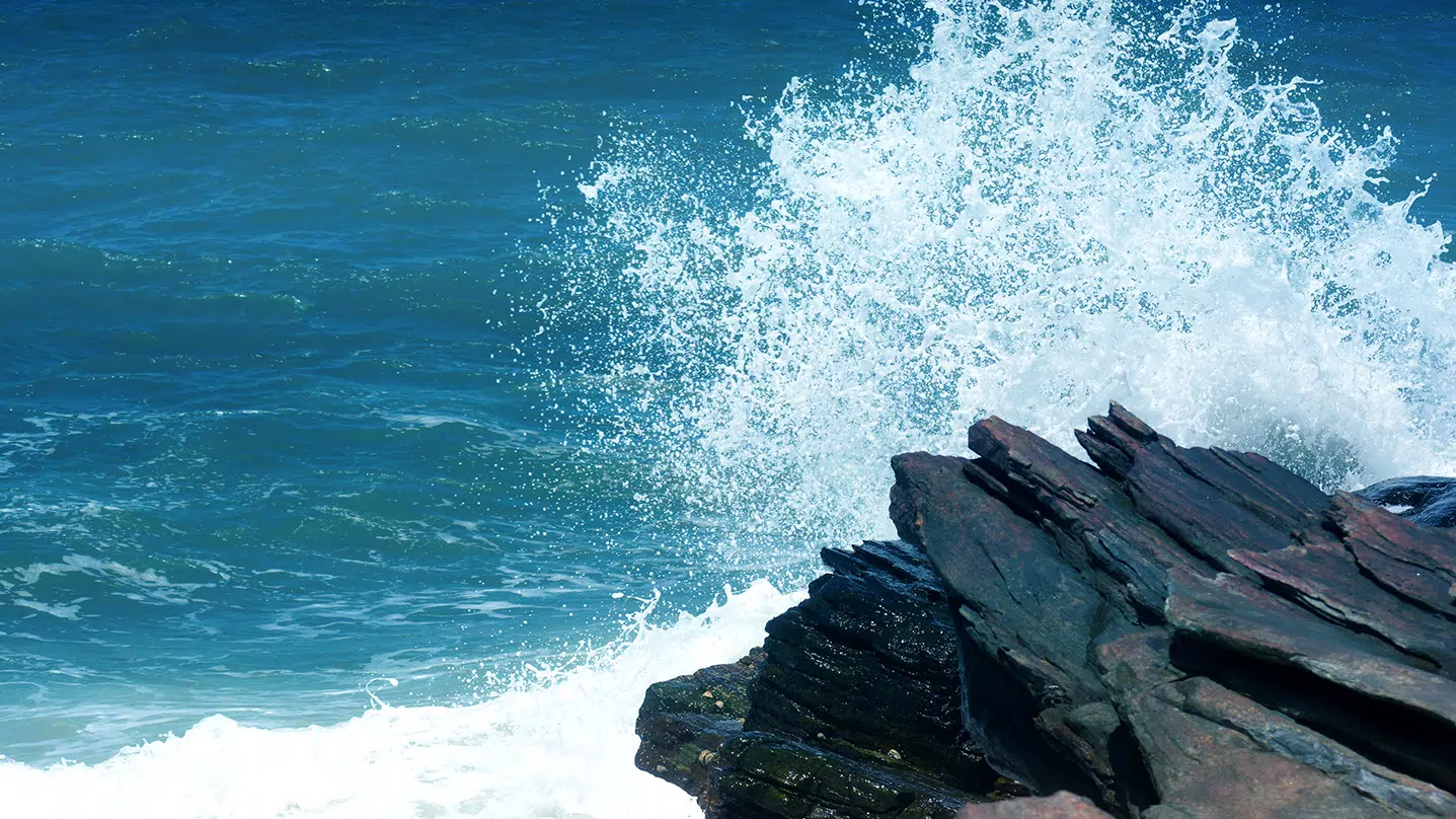 Making Waves: The Cresting Co-Investment Opportunity