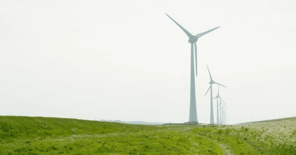  Investing for a Net-Zero World: A Guide for Investors Featured Image